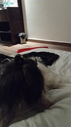 ruby horror movie dekh dar gai😂 #horror movi #ruby