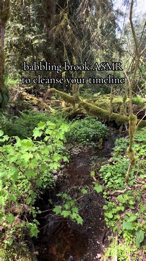 a little springtime timeline cleanse for you 😴 #babblingbrook #nature #asmr #portland #pnw
