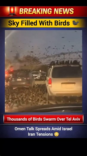 Massive Bird Swarm Over Tel Aviv Sparks Omen Fears 😳