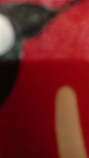 Elissia's Collections on TikTok