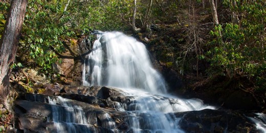 Great Smoky Mountains to re-open parts of Cataloochee Valley