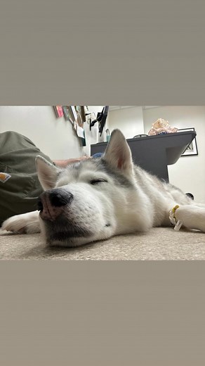 James Stech on Reels | Facebook