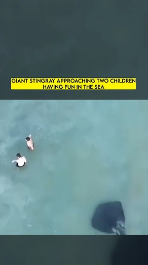 1.5M views · 4.3K reactions | The Incident that Befell Two Children Playing in the Sea #Reels #Sea #Explore | Techtuv | Facebook