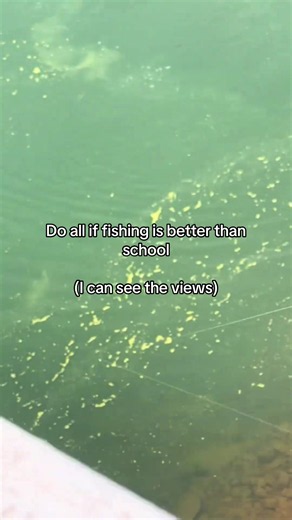 Fishing >>>over school #fishing #fishtok #fishinglife #fisherman | Fishing