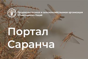 Опрыскивание в сверхмалых объемах