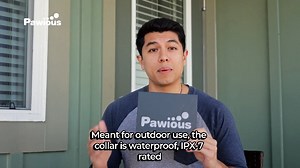 Watch GPS Wireless Dog Fence - Pet Containment system on Amazon Live