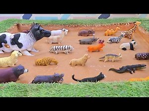 The Epic Rescue to Find and Save Domesticated Pet and Safari Zoo Animals