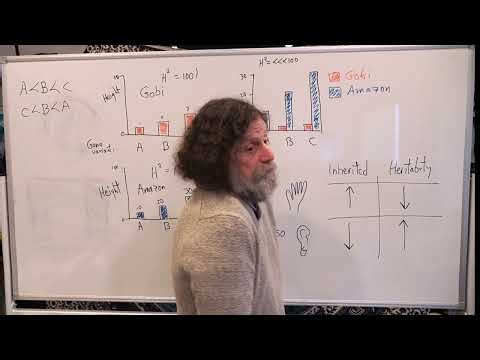 8-Behavioral Genetics II - Robert Sapolsky's Human Behavioral Biology