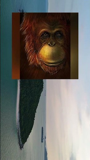 Гигантопитек — вымер? Или прячется в дикой природе? #Shorts