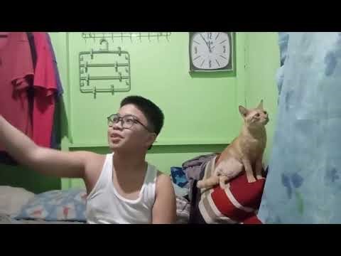 How I reached 2.5M merges in Merging Legends.