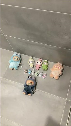 #erin and #anna # labubu Collection