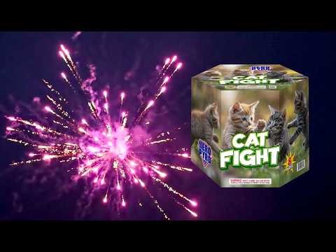 Cat Fight by Hero Pyro Fireworks