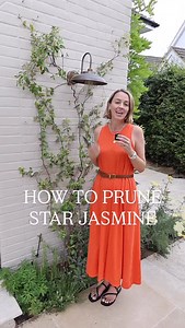 How to prune Jasmine. This one's easy as technically it doesn't even need pruning - but if you feel so inclined and it's getting out of control - here's your guide. ✂️ Pop those questions in the comments! | Pollyanna Wilkinson Garden Design
