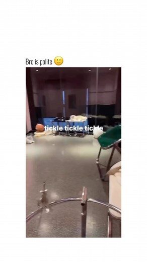 DailyAnimalReels | Funny / Cute Animal Content on Instagram: "Follow @daily.animal.reels for more! 🫢 via @catclubcentral #cat #cats #catsofinstagram #catlover #catlife #catlovers #cats_of_world #catlove #cute #cutecat #cutecats #cuteanimals #catmemes #animal #animals #animallovers #reels #reelsinstagram #reelsvideo #reel"