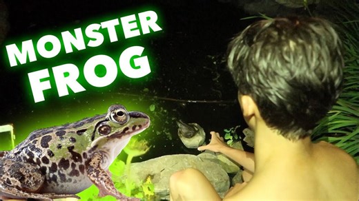 Hunting a Monster Frog – Extreme Adventure!