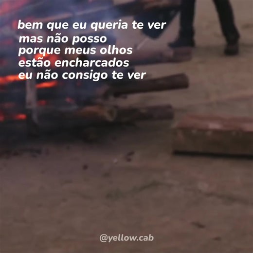 despedida - selvagens à procura de lei | #rockbrasileiro #musicabrasileira #vaiprofycaramba #mpb #foryoupage #foryou #traducao #lyrics #musica #letras #selvagensaprocuradelei #despedida