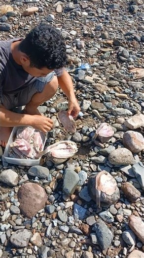 sun-drying masher fish