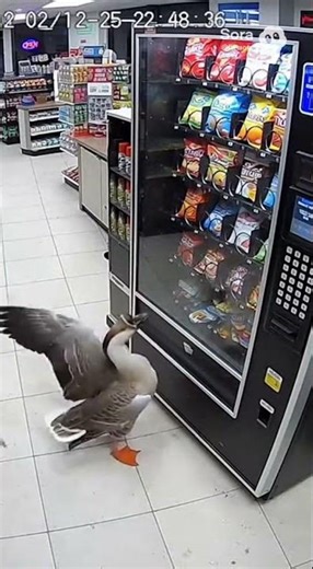 Vending machine problems