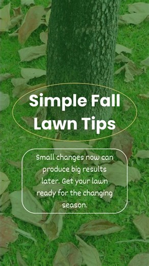 5 Ways to Prepare Your Lawn for Fall