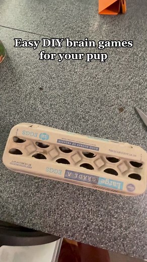 DIY Dog Brain Game: Interactive Puzzle Toy for Your Pup