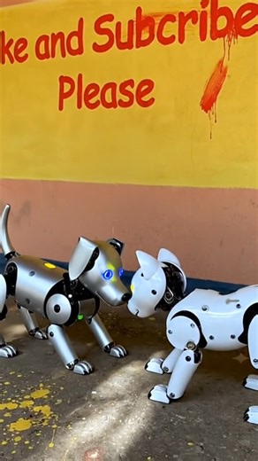 #robotic cat 🐈 and dog 🐕 please🙏 like and subscribe