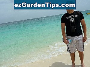Wie man Phosphate im Pool-Wasser überprüft 🌱 Tipps Gärtner - De.ezGardenTips.com