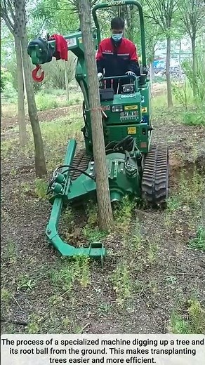 The process of digging up a tree with a machine