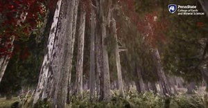 Walk a virtual forest for increased awareness about climate change
