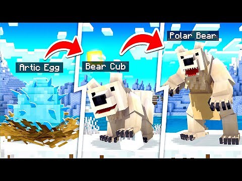 LIFE OF A PET POLAR BEAR IN MINECRAFT!