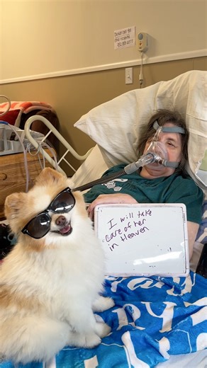 I was honored to fulfill Mary's Last Wish.❤️ Mary in Minneapolis asked for me to visit her as she only had a few weeks to live. Battling a rare condition she was moved into hospice with no hope of recovery. While I can't go to every request -the stars really aligned on this one... I went to see Mary and it was everything to her that I hoped it would be. Thanks for donations to my nonprofit that allow me to do things like this. I will never forget you Mary. See you again one day. #smilesfurmiles 