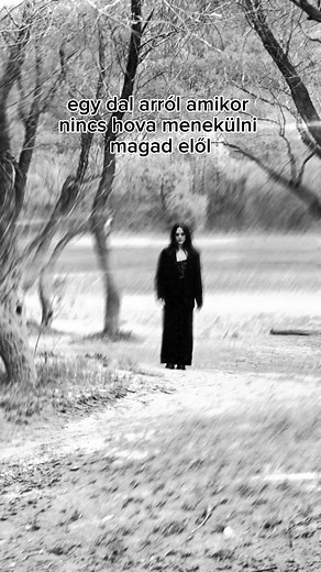 🖤🤍