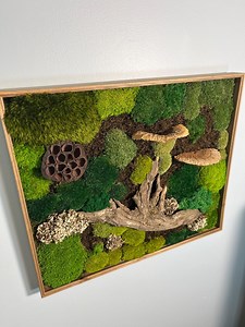 Handcrafted Preserved Moss Wall Art - Etsy