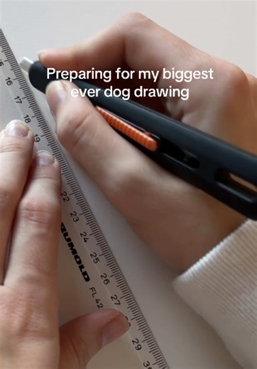 Obsessed with this already, this drawing has been in the works for months and it’s finally time to start adding my coloured pencils to this gorgeous collage of Rocco the cocker spaniel ✍🏼🐾 #cockerspaniel #dogdrawing #spaniels