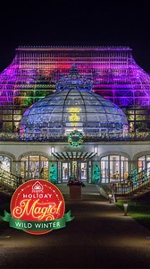✨Enjoy whimsical winter displays all from the comfort of your own home with our Phipps Holiday Magic Virtual Video Tour!✨ Now available for purchase or rent, this tour guides guests through this year’s playful “Wild Winter" theme highlighting dazzling new displays featuring whimsical topiary animals, gorgeous holiday trees, signature floral delights and more. Plus, don't miss the chance to view the new brilliant light features in our celebrated Winter Light Garden!🤩❄️ Get yours today: https://w