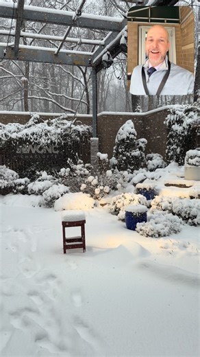 3pm update this is the heaviest fluffiest stuff so far. #snOMG #cltwx #ncwx #scwx | Brad Panovich Meteorologist