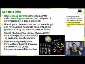 OpenStax Concepts of Biology Chapter 6.1