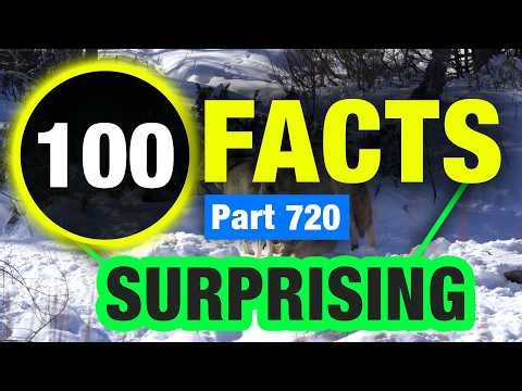 100 Little Known Facts That Will Surprise You