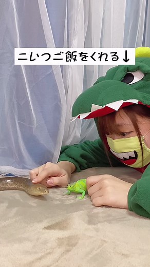 ヘビのようなトカゲに関する情報