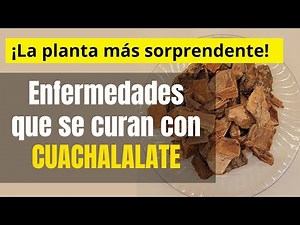 WHAT IS CUACHALALATE USED FOR?