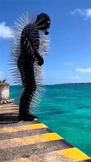 New diving suit #fyp #fypシ #centaur #monster #reels