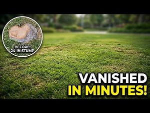 Watch This Stump Disappear in Minutes!