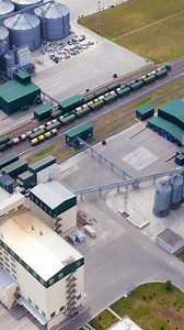 Grain elevators on field. Modern industry for agribusiness. Grain drying complex with large bins. Grain storage tanks. Aerial view. Vertical
