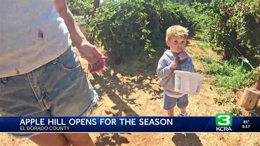 Apple Hill opens for the season