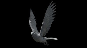 Feather R&D | VFX
