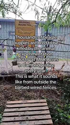 End Animal Testing at MBR Acres Now