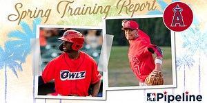 Angels Minor League Spring Training report