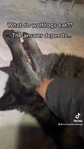 2.2M views · 103K reactions | Time for another post on diet! For...