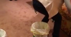 The "Poop The Potato" Party Game Is Sweeping The Nation