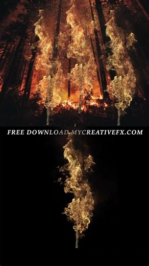 Free VFX Ovarlay tree burning #aftereffects #greenscreen #shots