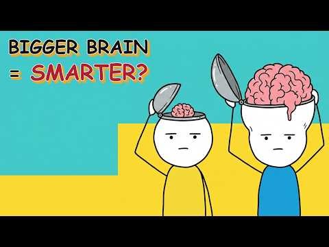 Does Brain Size Really Determine Intelligence?